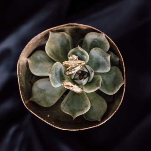 Die Verlobung bekannt geben – zwischen Öffentlichkeit, Intimität und dem richtigen Moment